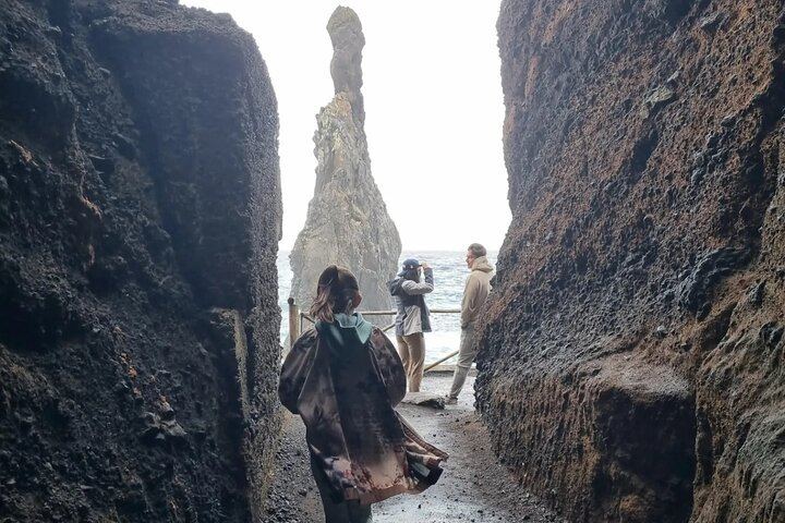 West Madeira Sightseeing Tour with Ribeira da Janela Swings and Porto Moniz Lunch Stop (3/12)