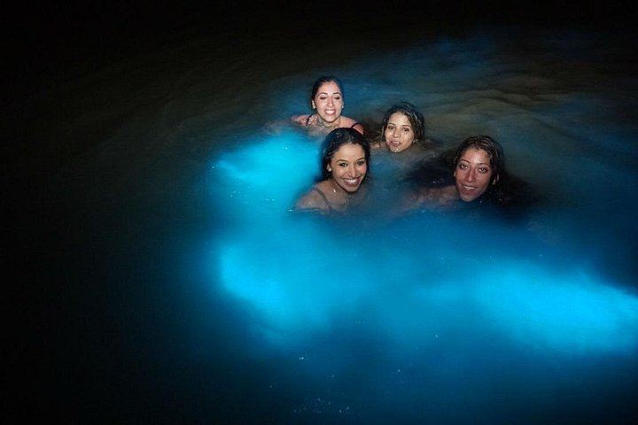 Dunn's River Falls and Luminous Lagoon Evening Tour from Montego Bay (5/12)