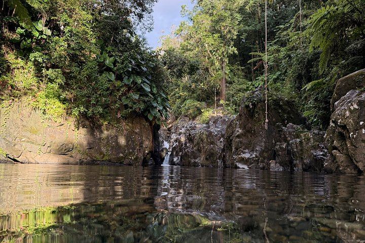 El Yunque River Pools, Rope Swings and Rock Slide with Fruit, Pickup and Luquillo Stop (8/10)