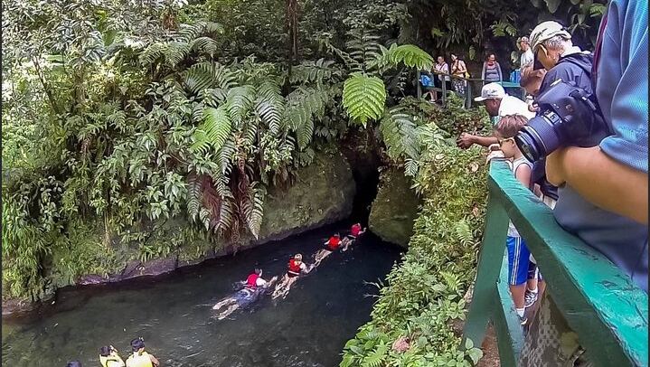 Small-Group Dominica Waterfall Day for 2-5 Couples: Ti Tou Gorge, Champagne Reef (1/12)