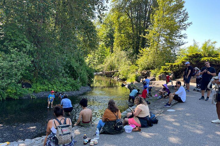 Waterfall Trolley Hop-On Hop-Off Day Pass from Corbett on the Historic Highway (7/12)