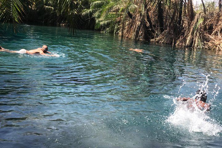 Materuni Waterfall and Organic Arabica Coffee Day Trip from Moshi (4/8)