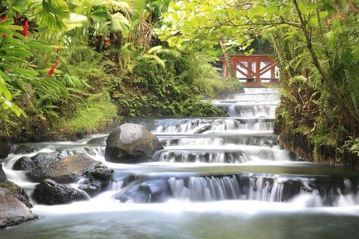 Arenal Volcano or La Fortuna Waterfall with Baldi Hot Springs from Guanacaste (6/12)