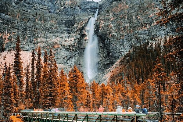 Yoho Day Tour: Wapta Falls and Takakkaw Falls in Summer, Marble Canyon in Winter
