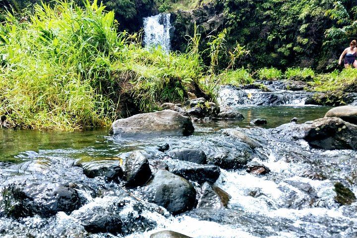 Halfway to Hana by Lincoln Navigator SUV: Waterfalls and Keanae, 6.5 Hours (6/12)