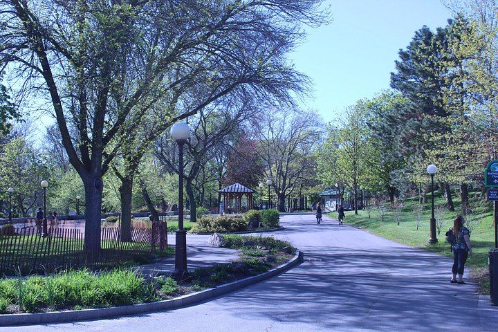 Niagara Falls State Park Guided Walk from SPoT: Terrapin Point and Maid of the Mist (5/10)