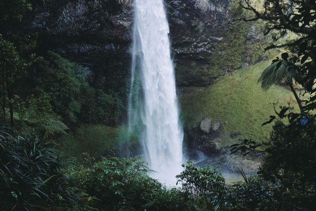 A tall waterfall falling past dark rock into green bush and fern