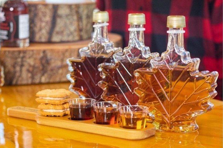 Toronto Evening Coach Tour to Niagara Falls with Whirlpool Rapids and Maple Tasting (11/12)