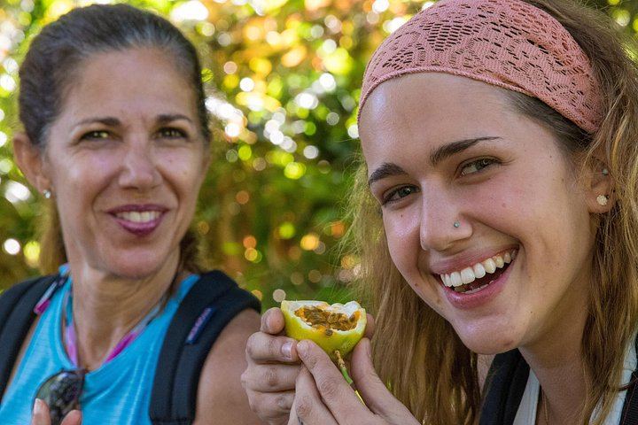Small Group Hana Highway Waterfall Hike with Lunch from Kahului Park and Ride (3/11)