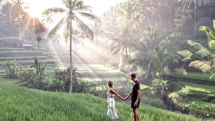 Private Ubud Tour: Tibumana Waterfall, Tegalalang Terraces, Swing and Ubud Palace (2/12)
