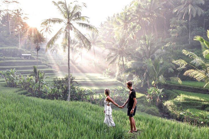 Private Ubud Tour: Tibumana Waterfall, Tegalalang Terraces, Swing and Ubud Palace (2/12)
