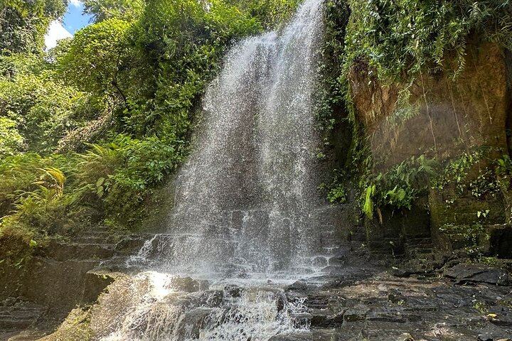 Bali Waterfalls and Temples Tour: Temesi, Goa Raja, Kehen and Besakih (5/12)