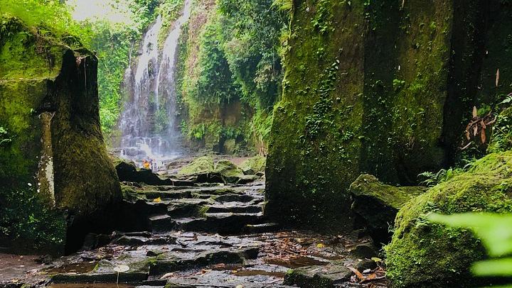 Bali Waterfalls and Temples Tour: Temesi, Goa Raja, Kehen and Besakih (1/12)