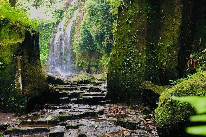 Bali Waterfalls and Temples Tour: Temesi, Goa Raja, Kehen and Besakih (1/12)