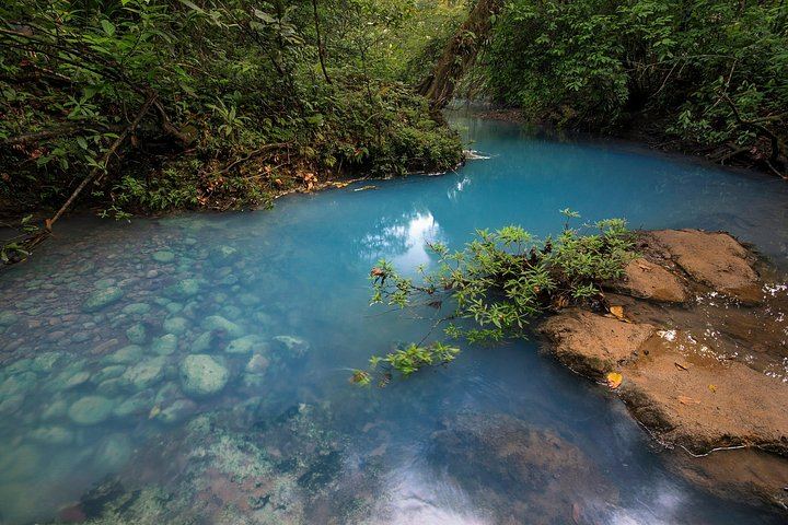 Tenorio Volcano National Park Hike to the Turquoise Rio Celeste Blue River (6/8)