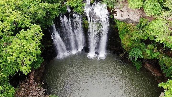 Private Heliconias Lodge Hanging Bridges, Spring Paradise Reserve and Llanos del Cortés (2/12)