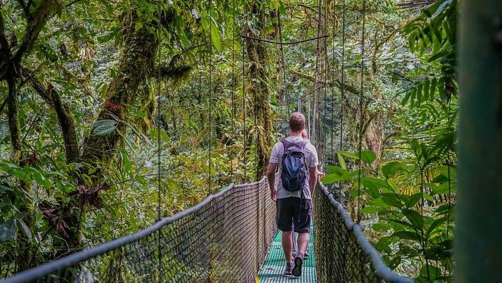 Private Heliconias Lodge Hanging Bridges, Spring Paradise Reserve and Llanos del Cortés (3/12)