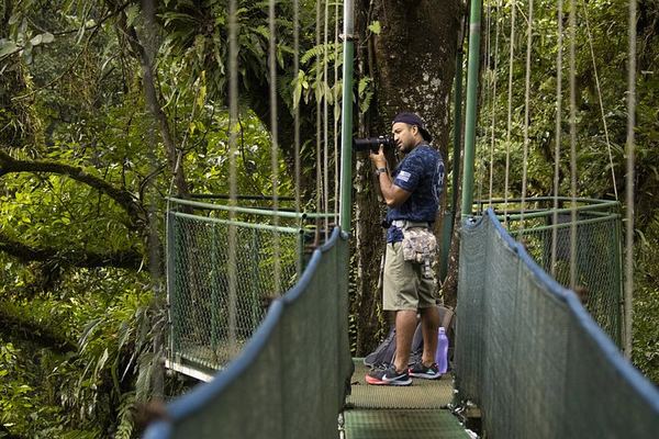 Private Heliconias Lodge Hanging Bridges, Spring Paradise Reserve and Llanos del Cortés