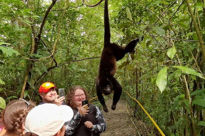 Private Heliconias Lodge Hanging Bridges, Spring Paradise Reserve and Llanos del Cortés (7/12)