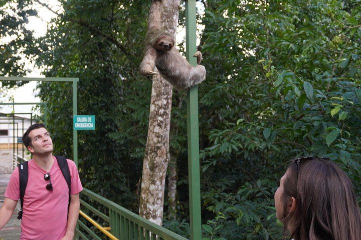 Private Heliconias Lodge Hanging Bridges, Spring Paradise Reserve and Llanos del Cortés (12/12)