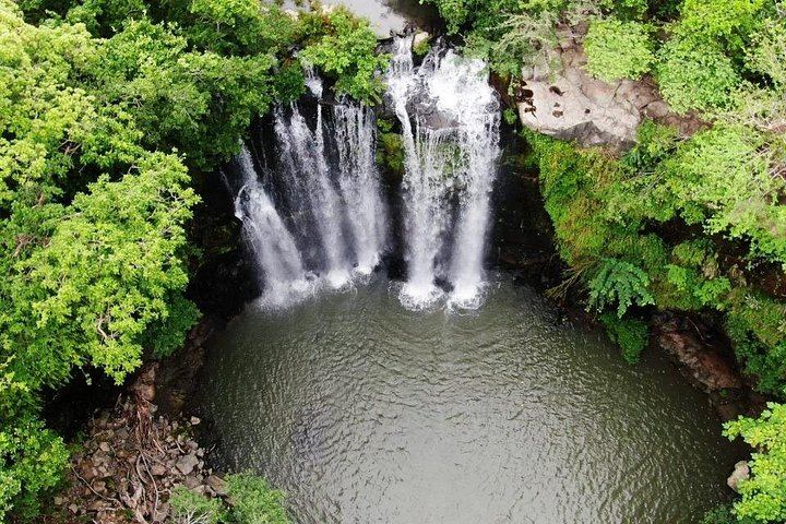 Private Heliconias Lodge Hanging Bridges, Spring Paradise Reserve and Llanos del Cortés (2/12)
