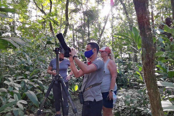 Private Heliconias Lodge Hanging Bridges, Spring Paradise Reserve and Llanos del Cortés (8/12)