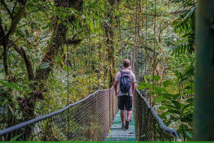 Private Heliconias Lodge Hanging Bridges, Spring Paradise Reserve and Llanos del Cortés (3/12)