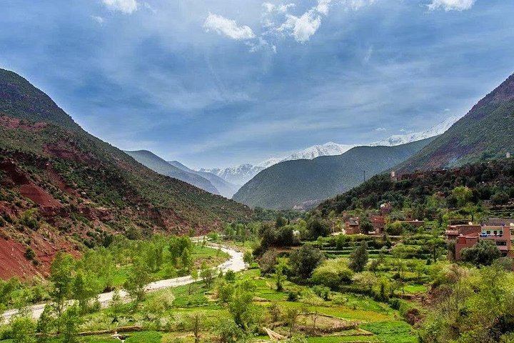 Ourika Valley Day Trip from Marrakech: Private or Shared Waterfall Hike and Artisans (9/12)