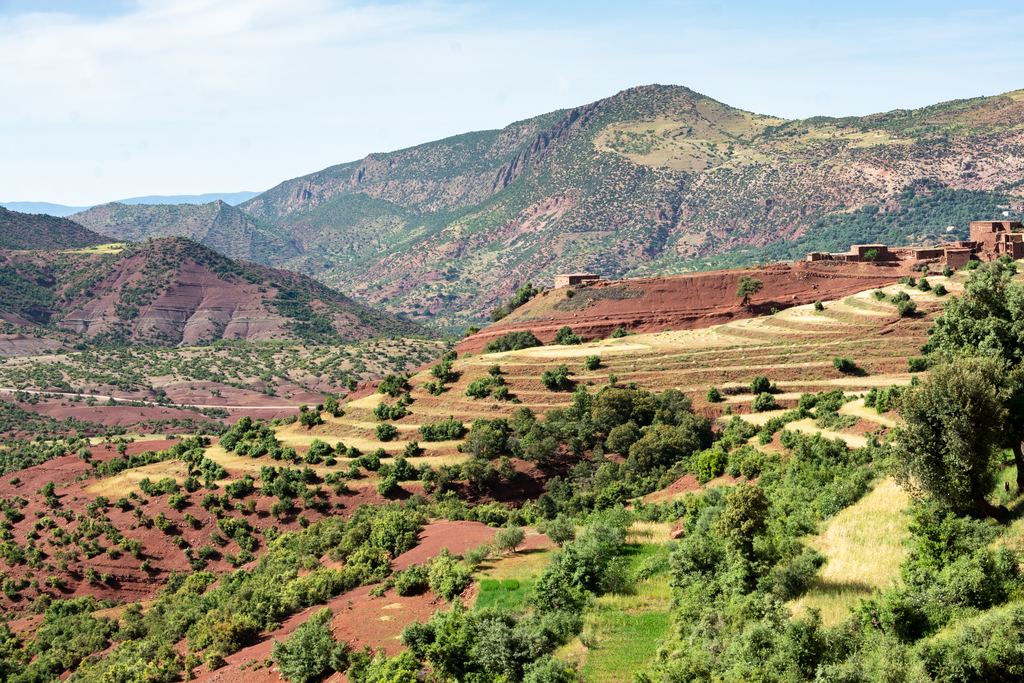 Terraced fields of red soil and olive trees below a village in Morocco's Atlas mountains