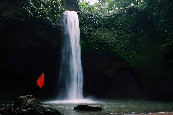 Private Full-Day Bali Waterfall Trip: Four Falls With Entrance Tickets Included (2/9)