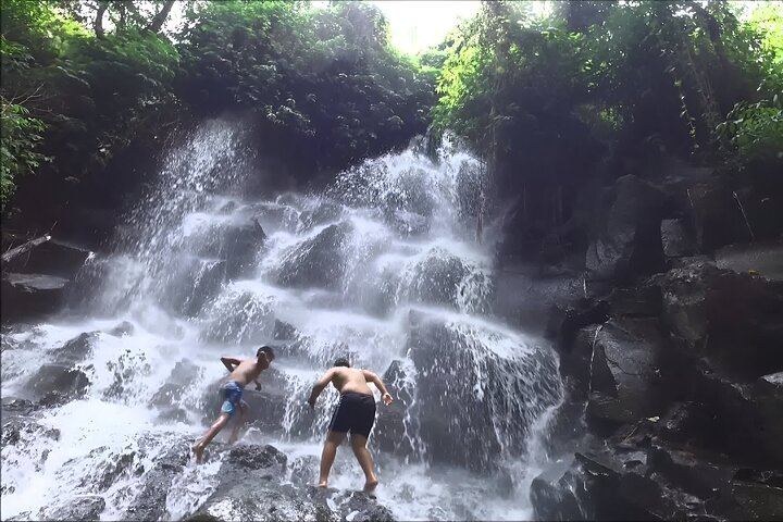 Private Full-Day Bali Waterfall Trip: Four Falls With Entrance Tickets Included (4/9)