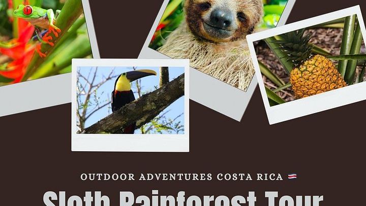 Private Bijagua Sloth Walk and Llanos del Cortez Tiered Waterfalls near Bagaces (2/12)