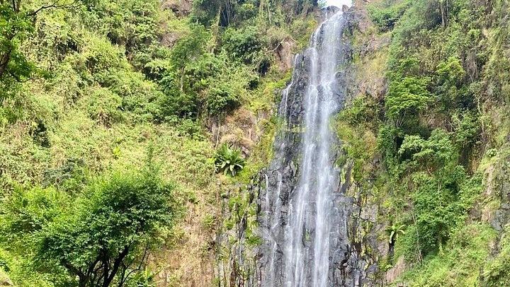 Materuni Coffee Tour and Chemka Hot Springs Day Trip with Local Lunch from Arusha (4/12)
