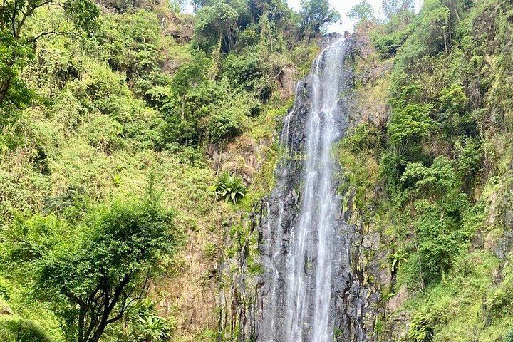 Materuni Coffee Tour and Chemka Hot Springs Day Trip with Local Lunch from Arusha (4/12)