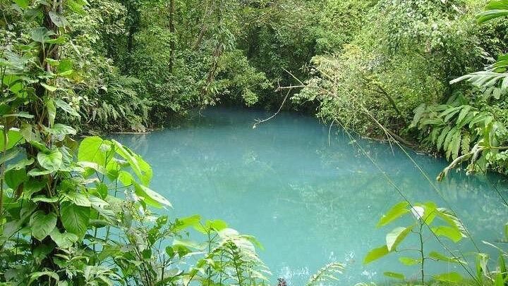 Rio Celeste Waterfall Hike from La Fortuna with Air-Conditioned Transport (1/5)