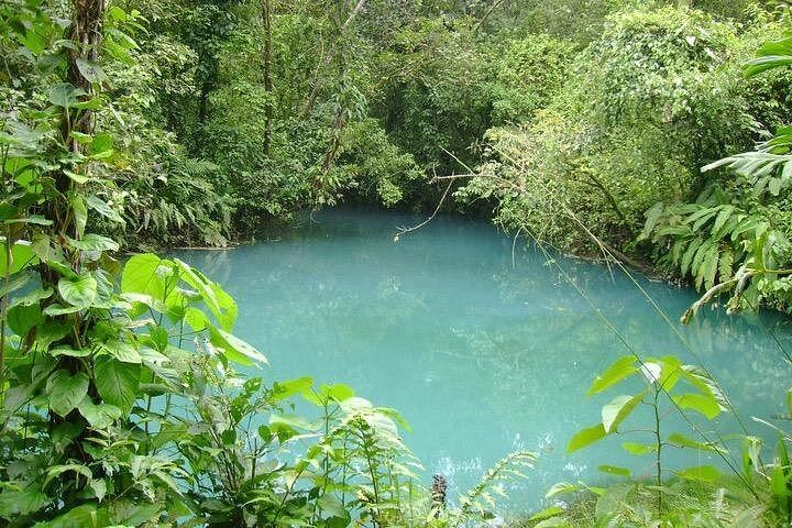 Rio Celeste Waterfall Hike from La Fortuna with Air-Conditioned Transport (1/5)