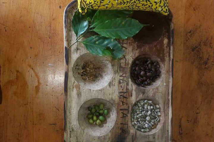Materuni Coffee Tour and Chemka Hot Springs Day Trip with Local Lunch from Arusha (7/12)