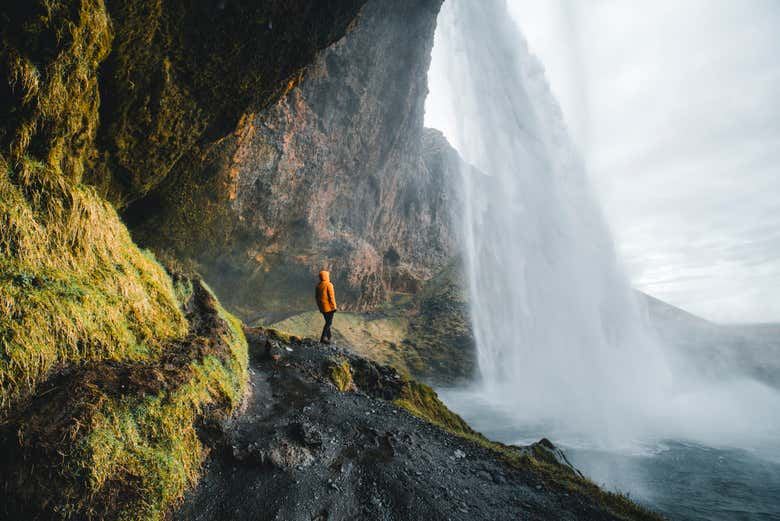 Small-Group South Coast Day Trip from Reykjavik: Seljalandsfoss, Skógafoss and Vík (5/7)