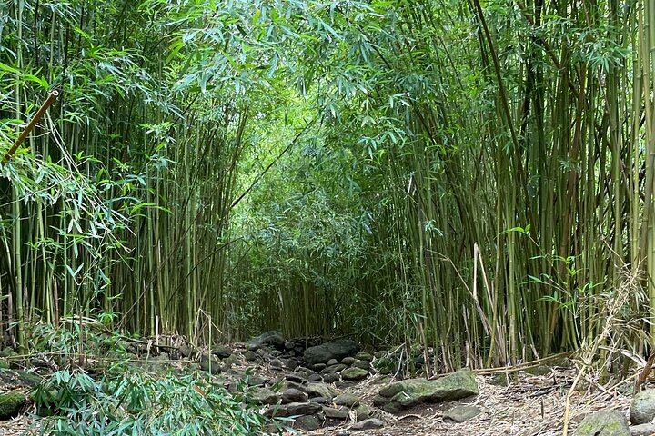 Private Makamakaole Trail Waterfall Hike, Maui: Bamboo Forest and Stream Crossings (4/12)