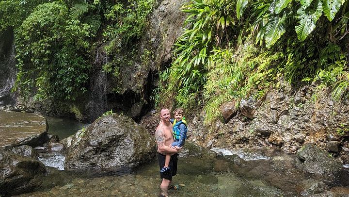 Seven-Hour Foraging Hike in Dominica: Middleham Falls, Ti Tou Gorge, Hot Springs (3/12)