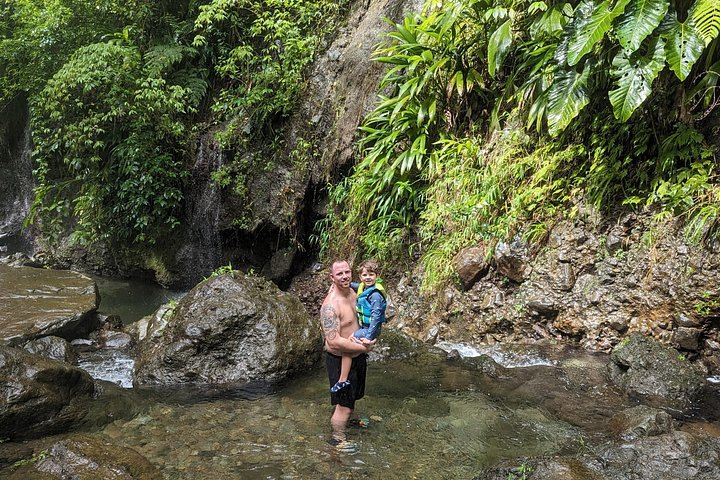 Seven-Hour Foraging Hike in Dominica: Middleham Falls, Ti Tou Gorge, Hot Springs (3/12)