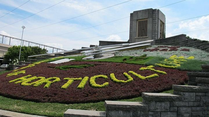 Fall for Niagara Sightseeing Day Tour from Toronto with Parkway Photo Stops (3/11)