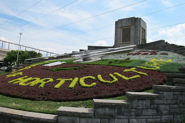 Fall for Niagara Sightseeing Day Tour from Toronto with Parkway Photo Stops (3/11)