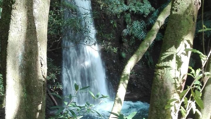 Northeast Waterfalls Hiking Tour with Water Mills and Povoação, Sao Miguel (2/7)