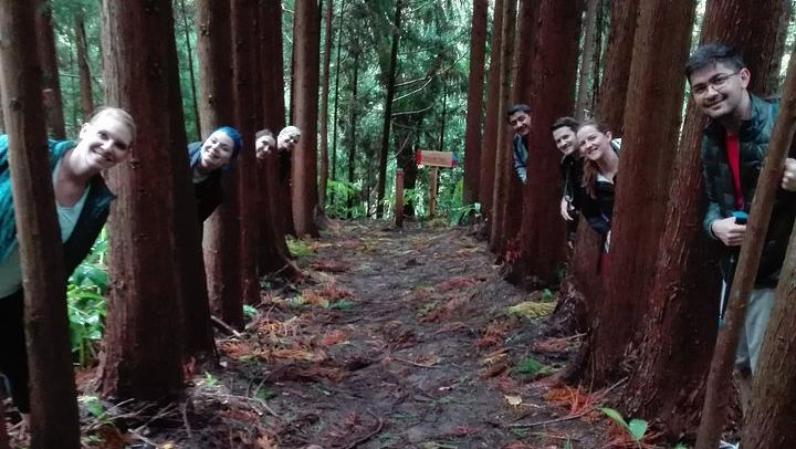 Northeast Waterfalls Hiking Tour with Water Mills and Povoação, Sao Miguel (4/7)