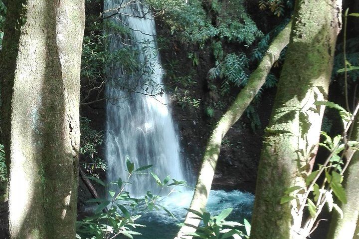 Northeast Waterfalls Hiking Tour with Water Mills and Povoação, Sao Miguel (2/7)