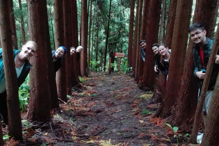 Northeast Waterfalls Hiking Tour with Water Mills and Povoação, Sao Miguel (4/7)