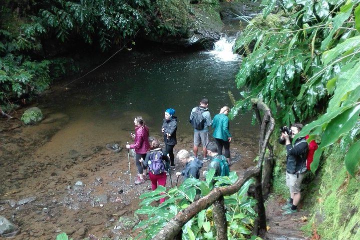 Northeast Waterfalls Hiking Tour with Water Mills and Povoação, Sao Miguel (7/7)