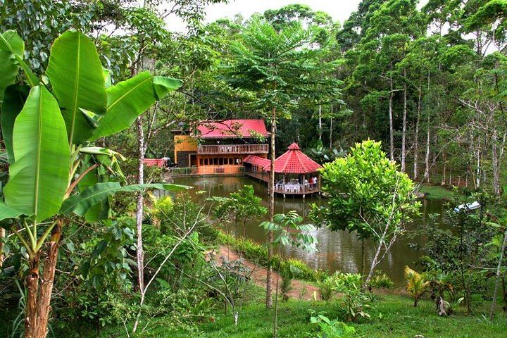 Full-Day ATV Ride from Jaco: Waterfalls, Tulin River Lunch and a Pacific Beach Run (9/12)