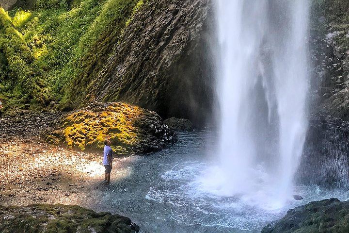 Half-Day Columbia Gorge Waterfall Hikes with Local Legends, Portland Pickup (1/7)